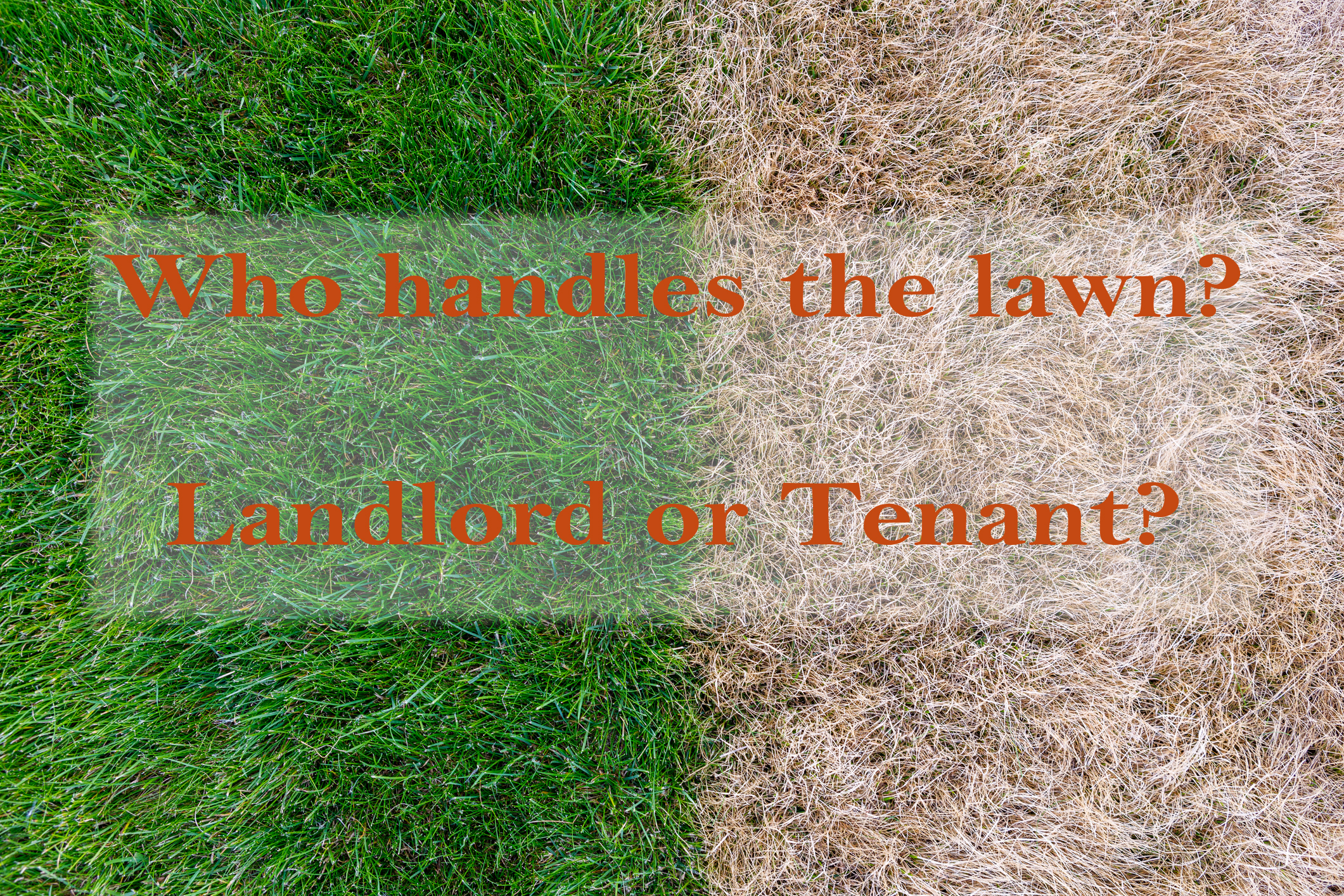 Who Handles The Lawn?